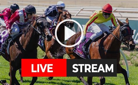 watch horse racing online free.